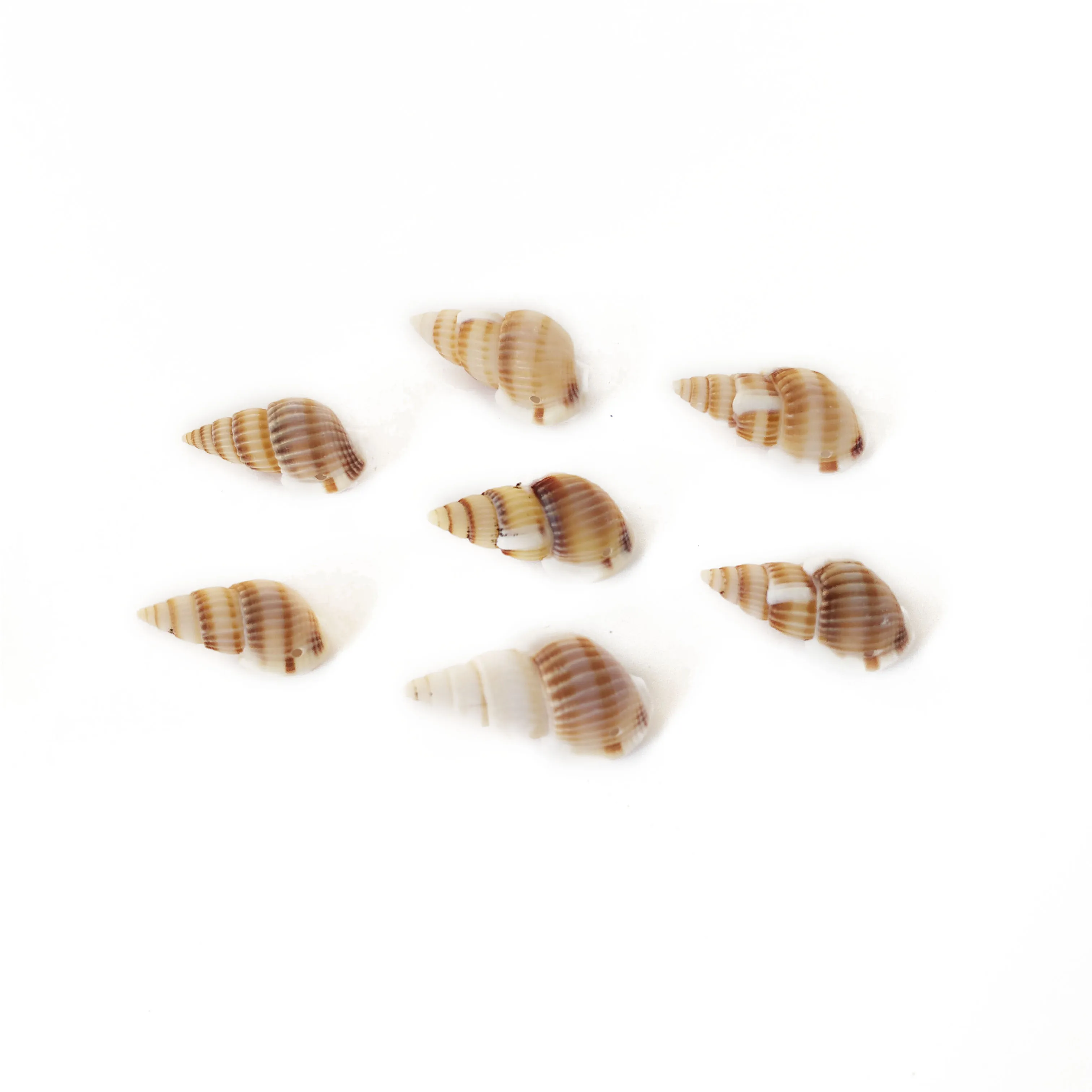 

50Pcs Natural yellow Seashells Craft DIY Scrapbooking One Hole Spiral Shells Handmade For Glass Bottle Home Decora