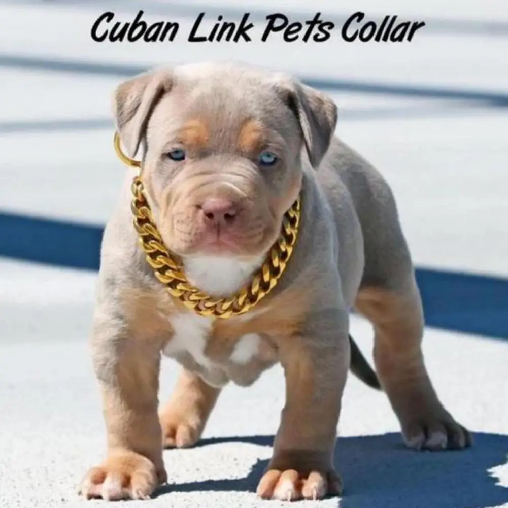 Strong Metal Dog Chain Collars Steel Pet Choke Gold For Large Pitbull Bulldog Collar Collar Dogs Silver Show Trai M8Y8