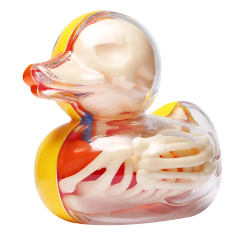 6parts 4d Yellow Duck Skeleton Transparent Puzzle Assembled Toy Perspective Bone Anatomical Model Veterinary |
