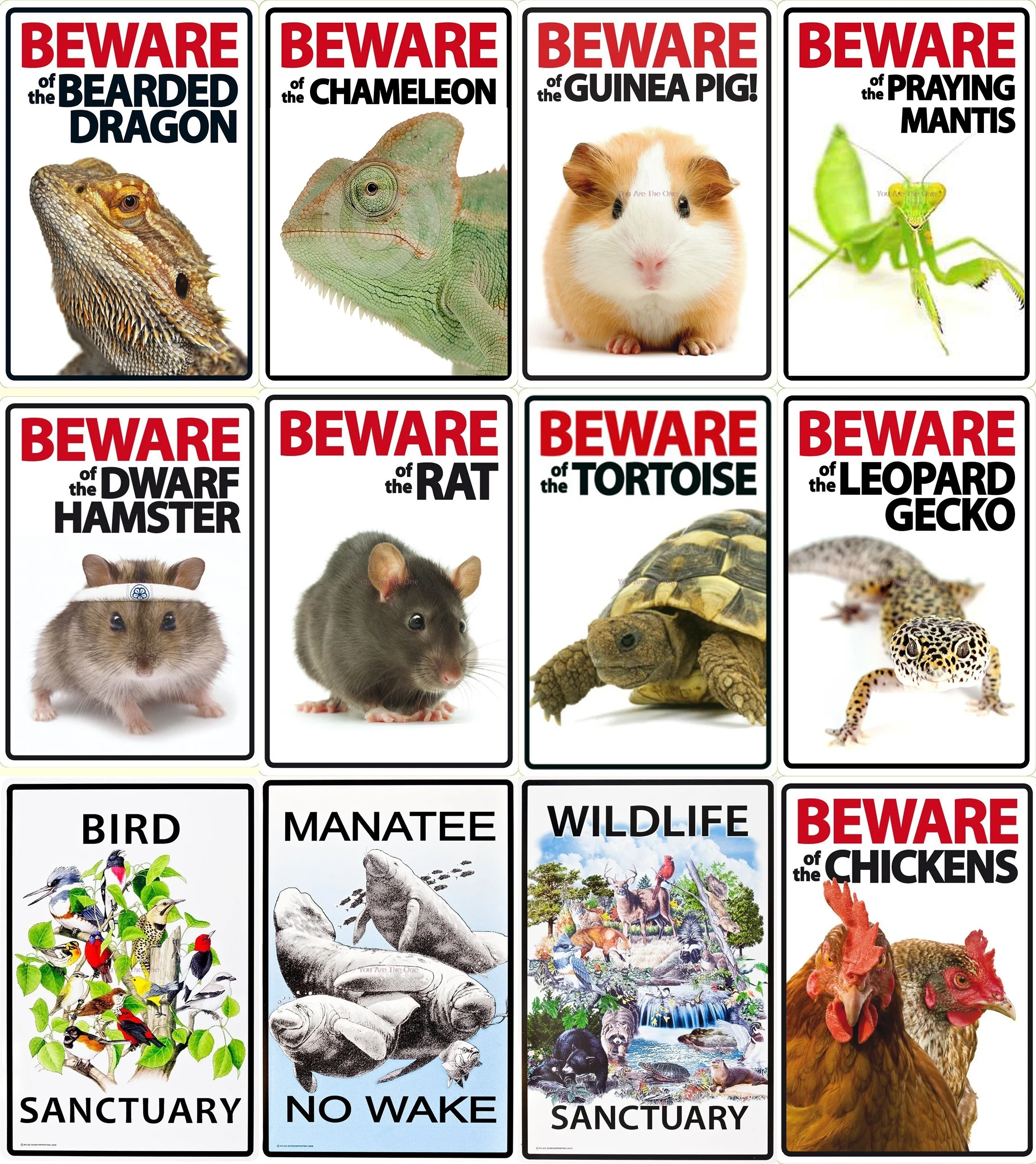 Остерегайтесь цыплят кролик черепаха фермы олова металла пластины со знаками