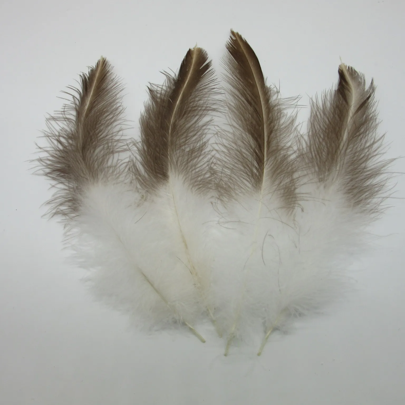 

Sale 50pcs/lot Beautiful Eagle Feathers 8-10 Inch / 20-25CM Accessories Dancers Craft Party Wedding Jewelry Plumes Plumas