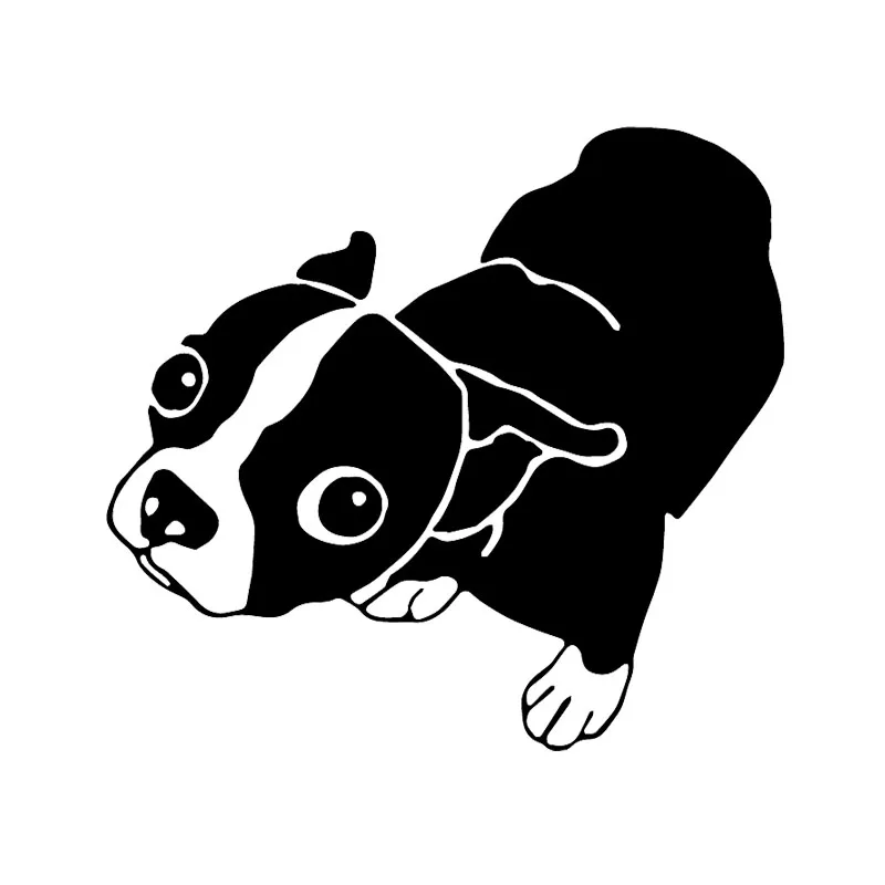 

Car Stickers Funny Dog Car Stickers PVC Decals Decorated In Black/silver 14.6x13.5cm