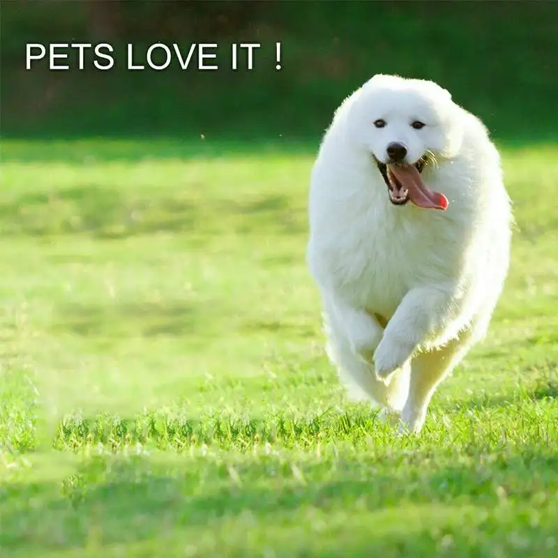 

10Mx1M 25mm Hight Outdoor Artificial Lawn Grass Mat Indoor Lawn Turf Synthetic Rugs Mat Garden Landscape Decoration