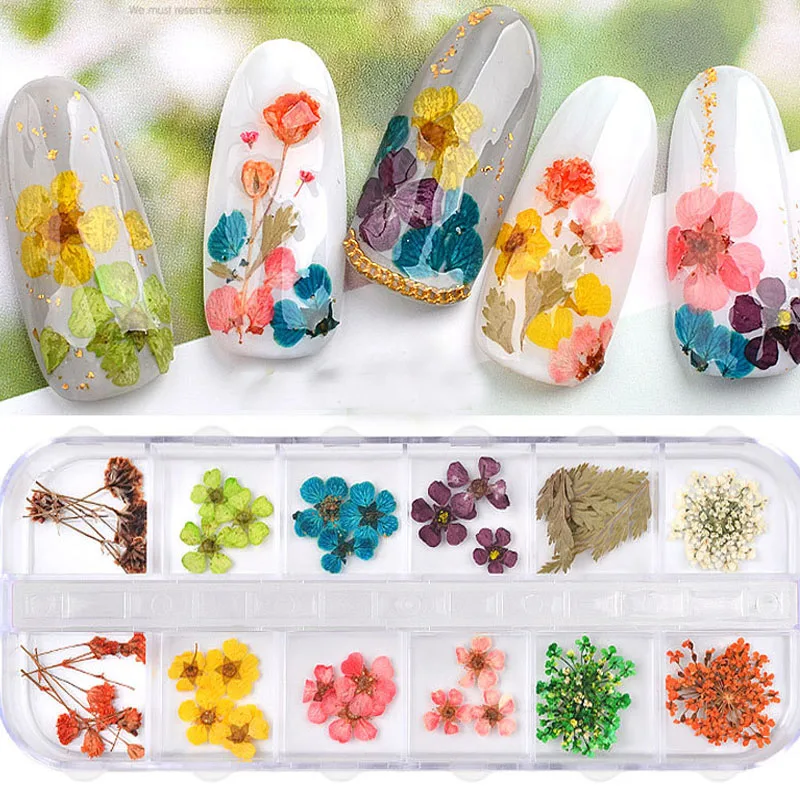

Colorful 3D Dry Flowers Sticker With UV Gel Real Flower For Nail Decoration Dried Flower Nail Decals DIY Manicure Nail Accessory