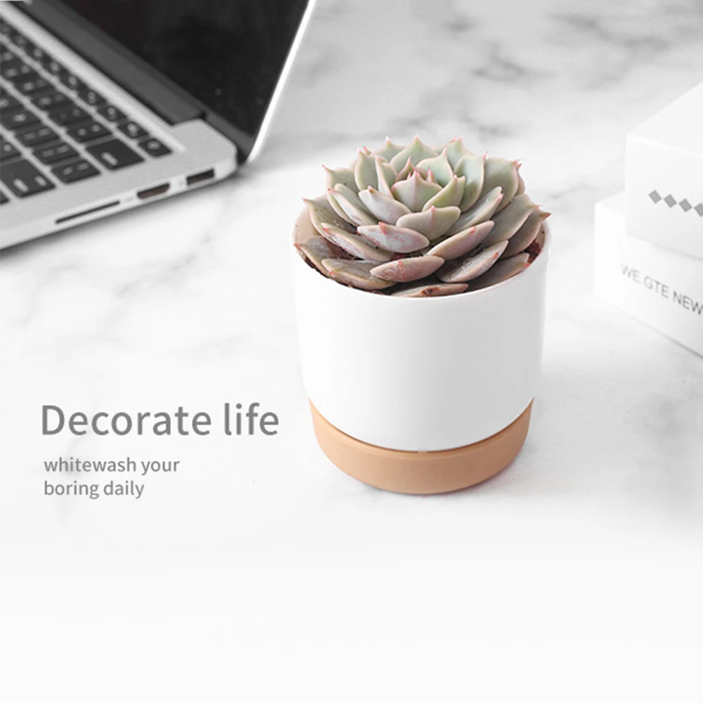 Горшок для суккулентов двухслойный маленький зеленый цветочный горшок растений