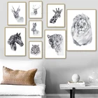 Акварель Животное Искусство дикая зверь лошадь Кот холст искусство Лев Кролик тигр черный белый плакаты принты Гостиная Офис Декор