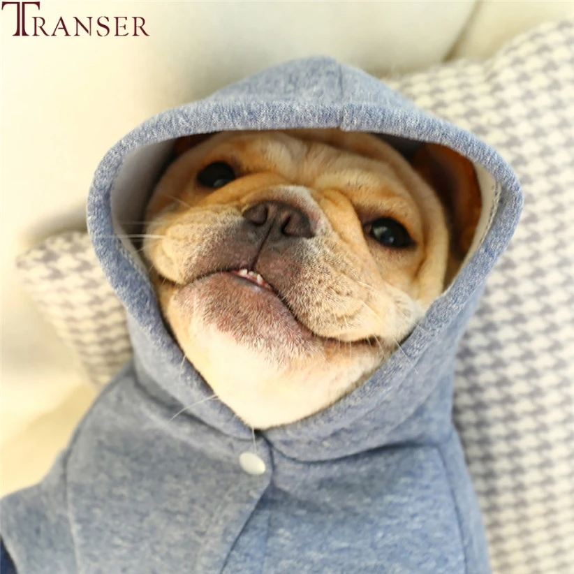 Transer Забавный свитшот с рисунком собаки мопса Повседневная Спортивная толстовка