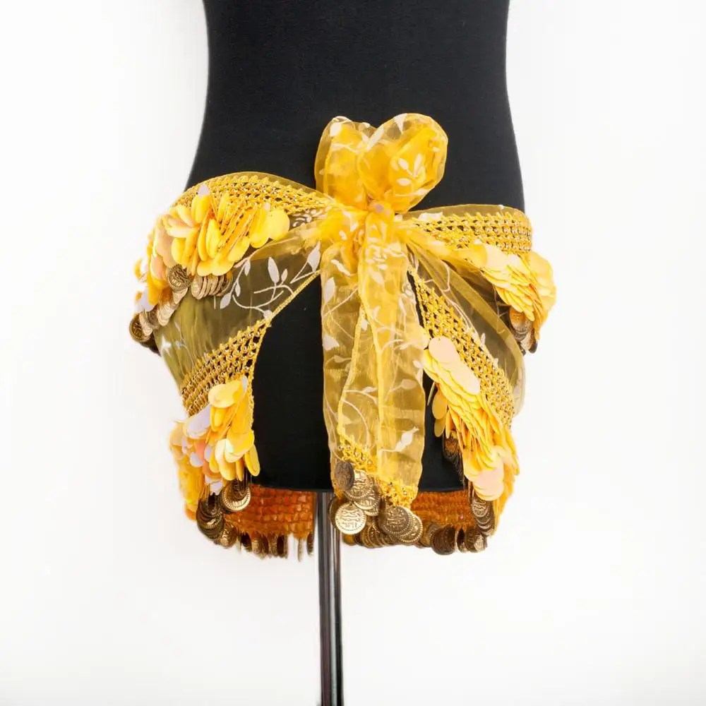 

Belly Dance Skirt Sequins Hip Scarf Coin Dancing Belts Indian Jewelry Belly dance Costume Waistband Hip Belt belly dance clothes