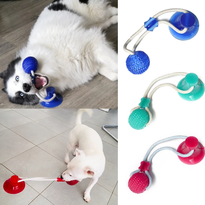 Interactive Suction Cup Dog Toys Pet Molar Bite Large Dogs Pitbull Golden Retriever Popular Hard Material Teeth Cleaning Chewing