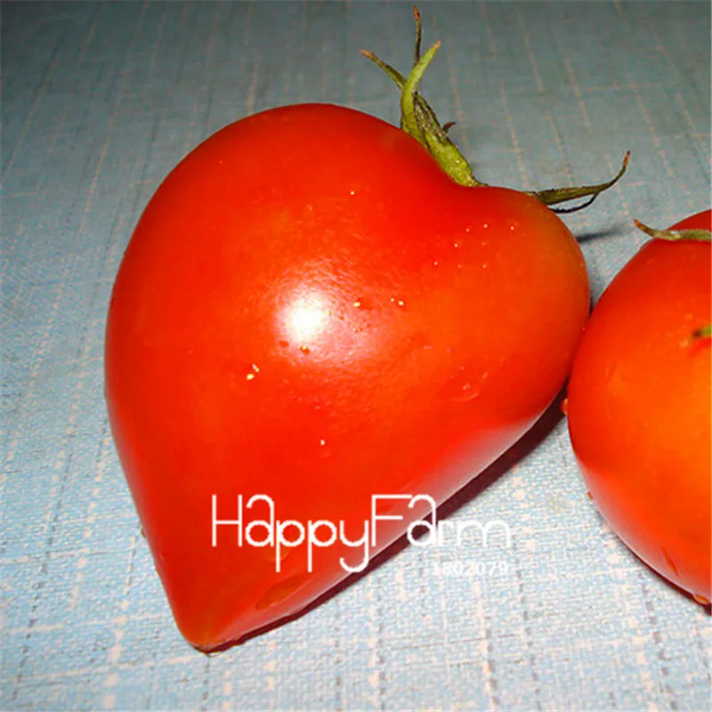 New Fresh 20 Pcs/Lot Rainbow Tomato Plants, bonsai organic vegetable& fruit Plantas,potted plant for home&garden - Цвет: 23