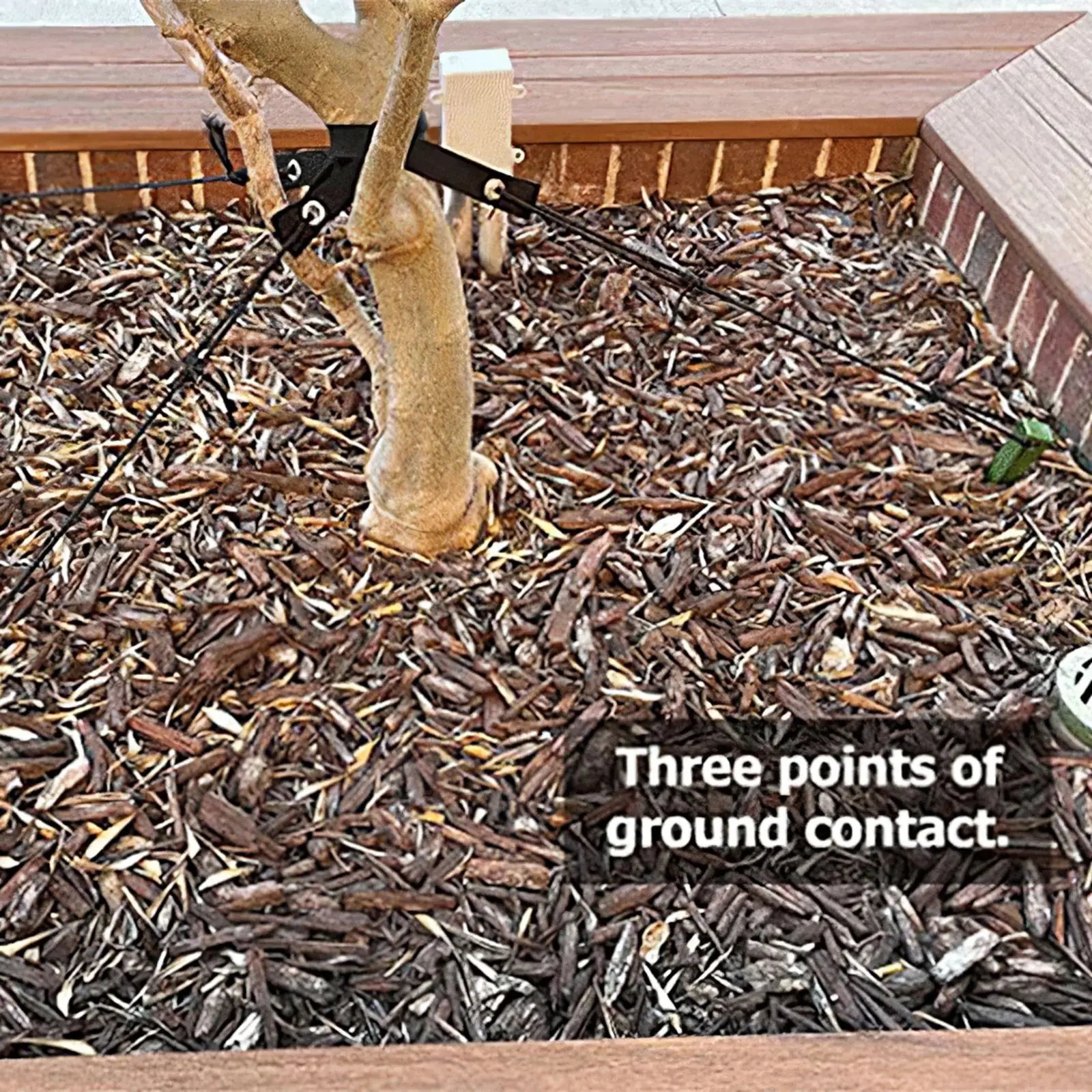 

Tree Stake Kit Plant Tree Support Anchor Garden Young Tree Protector Plastic Tree Stakes Anchor With 3 Spikes 3 Belts 1 Rope