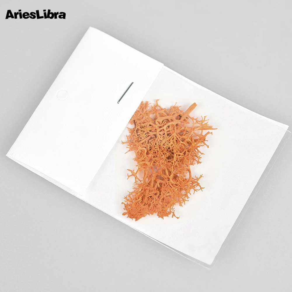 AriesLibra водные растения сохраненные цветы 3D сушеный цветок натуральный Сделай Сам