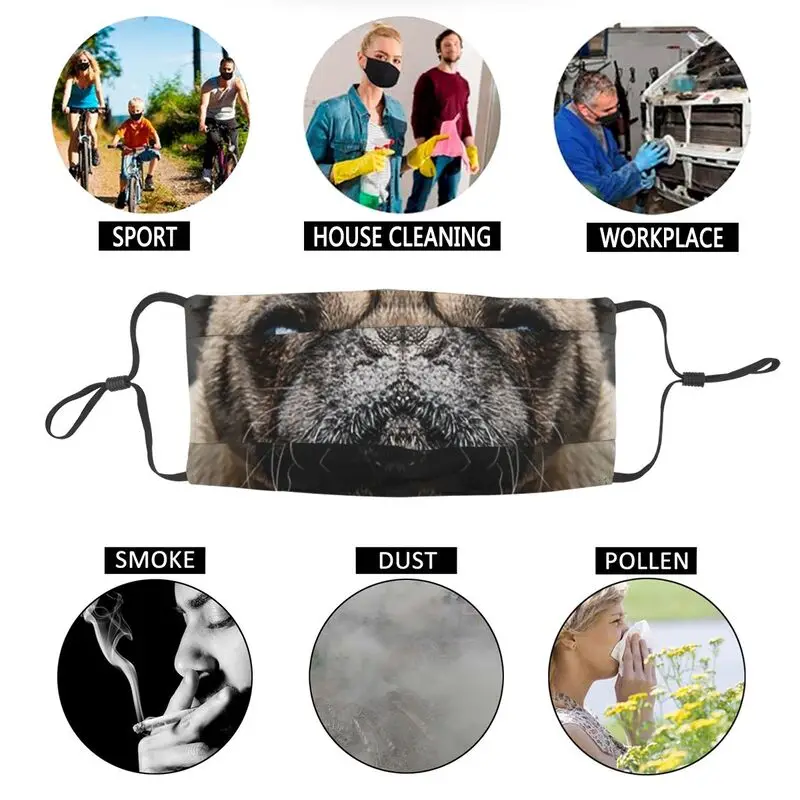 

Funny Pug Breathable Mouth Face Mask Adult Dog Puppy Mask Anti Dust Protection Cover Respirator Muffle