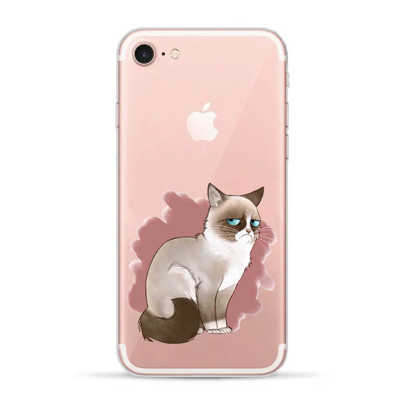 Модный мягкий чехол для телефона с изображением кота Iphone Xs Max 7 8 Plus 5S Se 6 6S