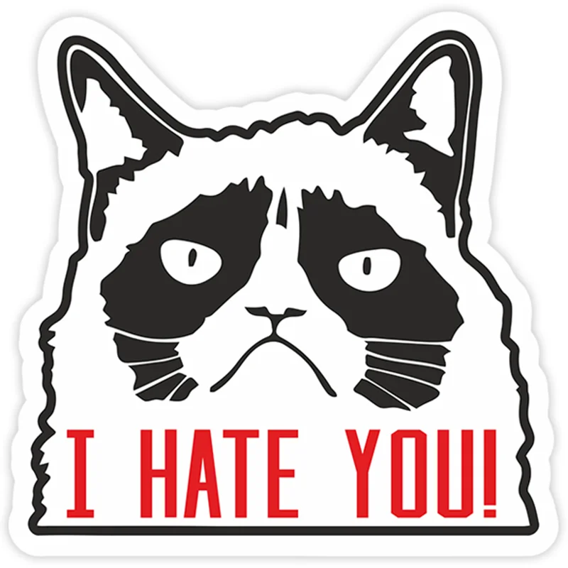 

S40220# Various Sizes PVC Decal Cat I Hate You Car Sticker Waterproof on Bumper Rear Window Laptop Refrigerator Toilet