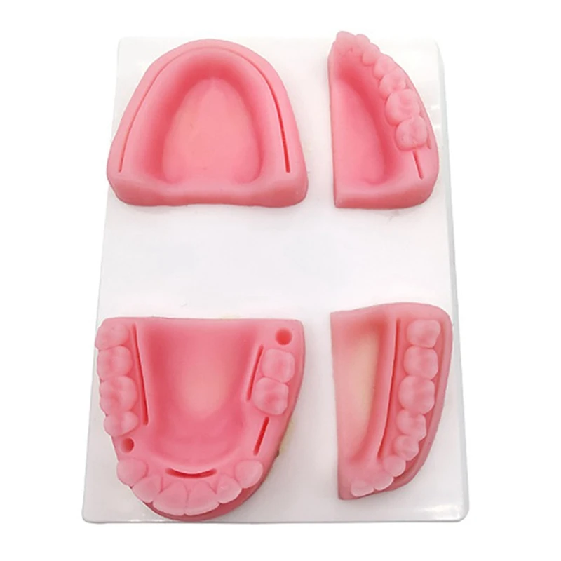 

Practice Kit, Oral Model,Training Instrument Kit with Selica Gel for Students Oral Suture Training