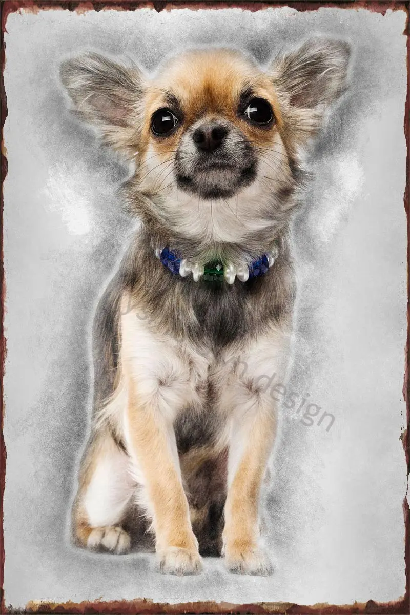 

Металлическая Оловянная вывеска Чихуахуа сидячая и выглядящая, жестяные таблички, Настенный декор, ретро, винтажный стиль, для художествен...