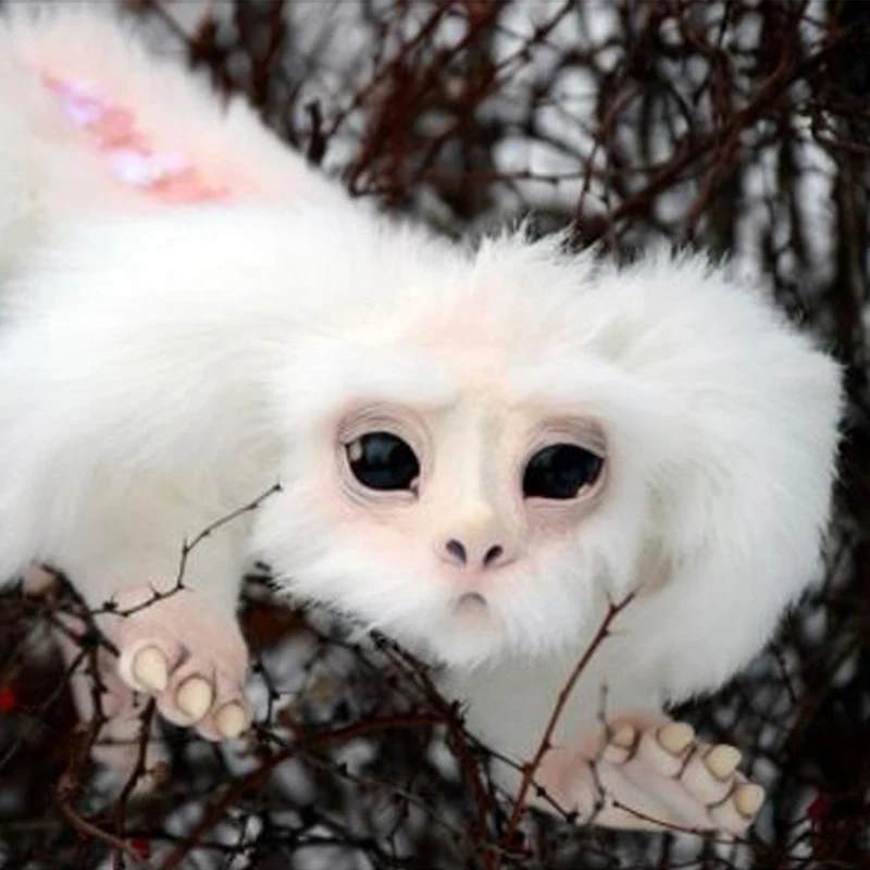 

Falkor From The Neverending Story Figures kawaii Cute Plush Doll Toys Gift for Kids And Adults Home Room Decoration Accessories