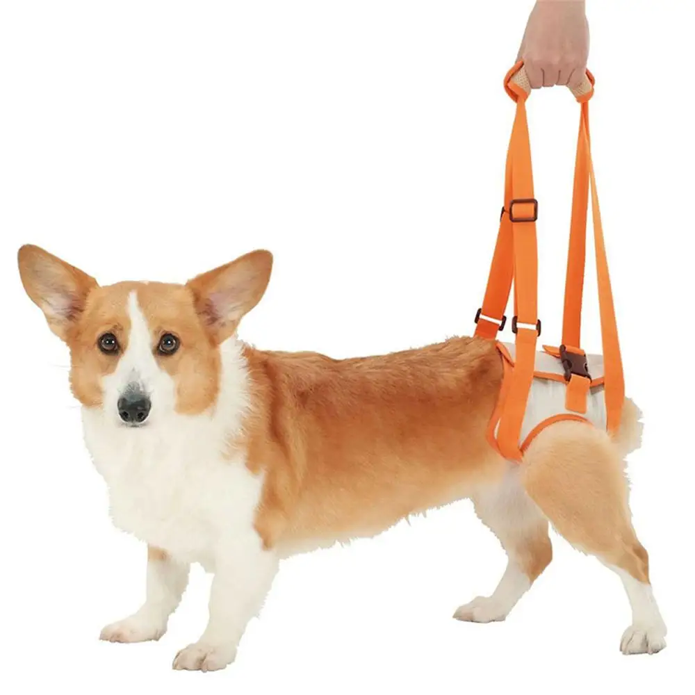 

Adjustable Dog Lift Harness for Back Legs Pet Support Sling Help Weak Legs Stand Up Pets Old Dogs Vest Leash Aid Assist Tool
