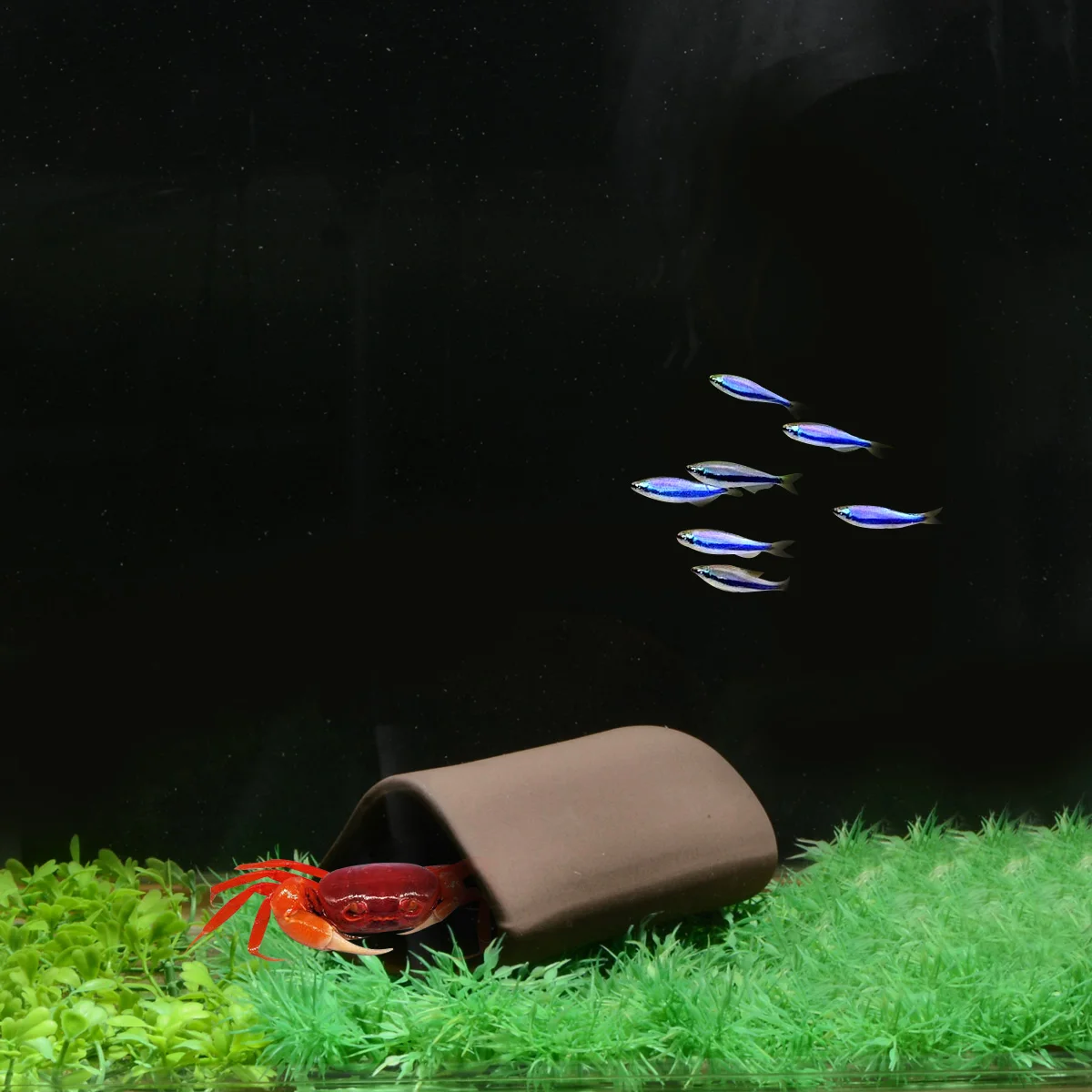 Декор для аквариума Saim большая треугольная рыба Репродукция креветок