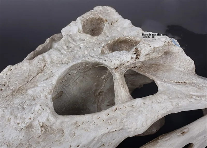 

HHT Personality Resin Simulation Crocodile Skull Specimen Home Model Room Bar Props Model Decorations Soft Decoration Ornaments