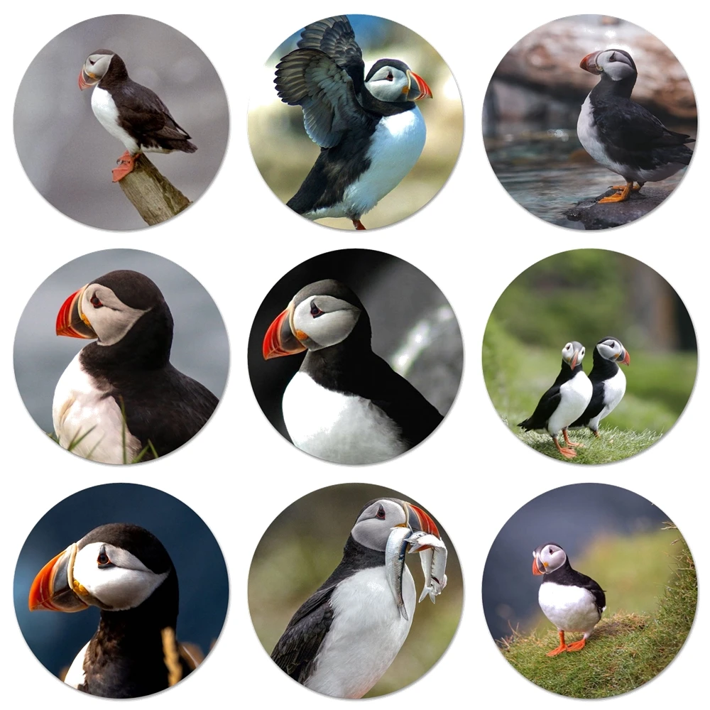 

Atlantic Puffin Faroe Islands Icons Pins Badge Decoration Brooches Metal Badges For Clothes Backpack Decoration