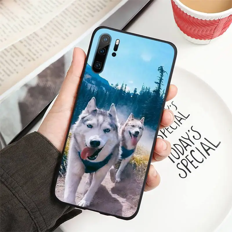 

Cute dog husky animal Phone Case For Huawei honor Mate P 10 20 30 40 i 9 8 pro x Lite smart 2019 nova 5t