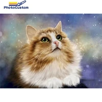 photocustom paint by number cat animals drawing on canvas handpainted art gift diy pictures by number kits home decor