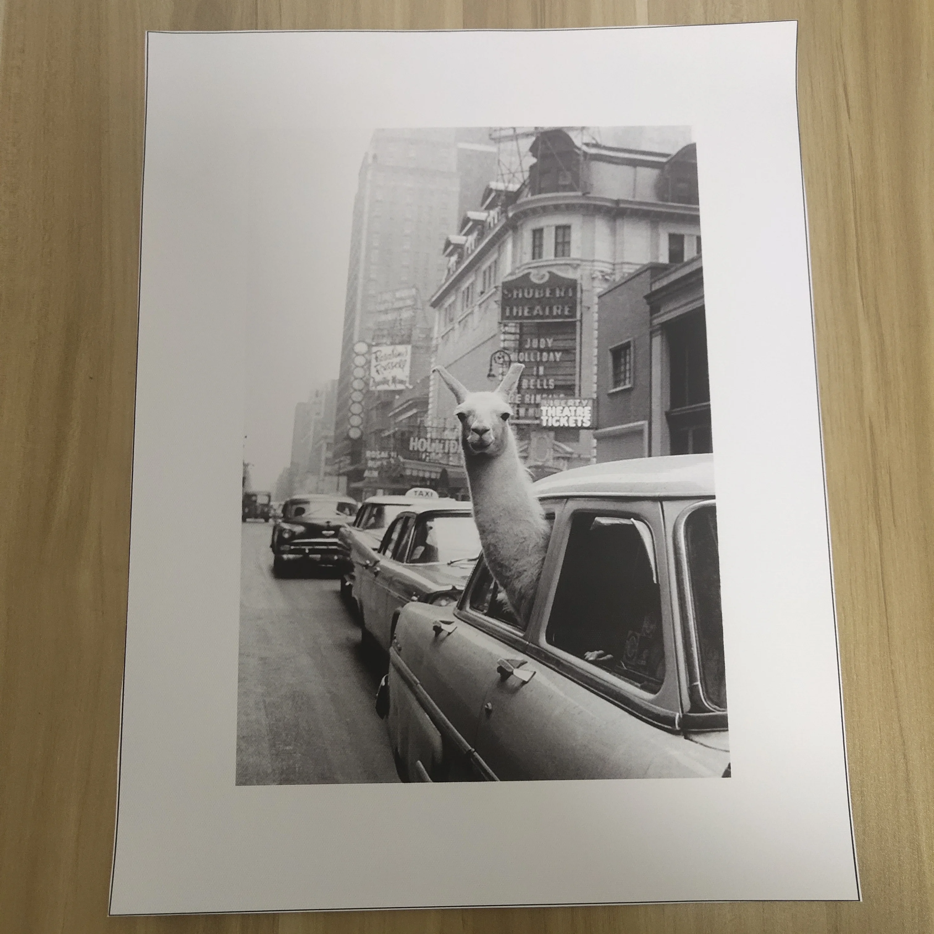 

Black and White Alpaca City Street View Decorative Funny Canvas Painting Prints and Posters Wall Art Pictures for Kid Bedroom