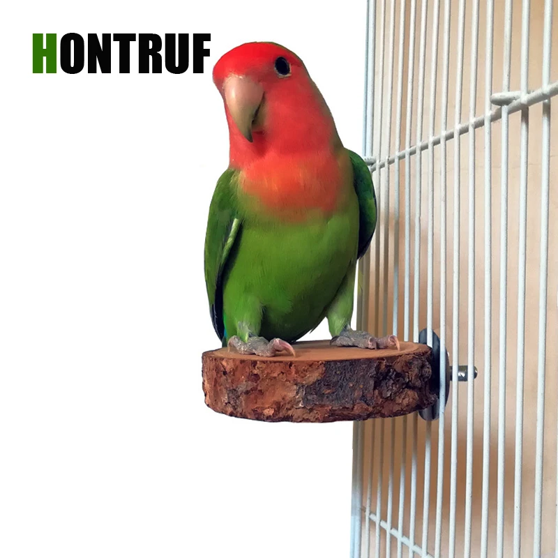 Большой размер ветка яблока попугай деревянный стенд игрушка попугая птица