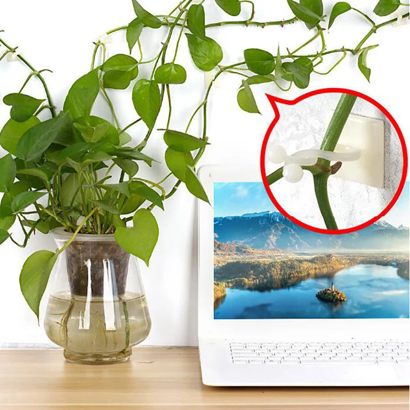 

100pcs Plant Climbing Wall Clip Invisible Wall Vines Fixture Wall Sticky Hook