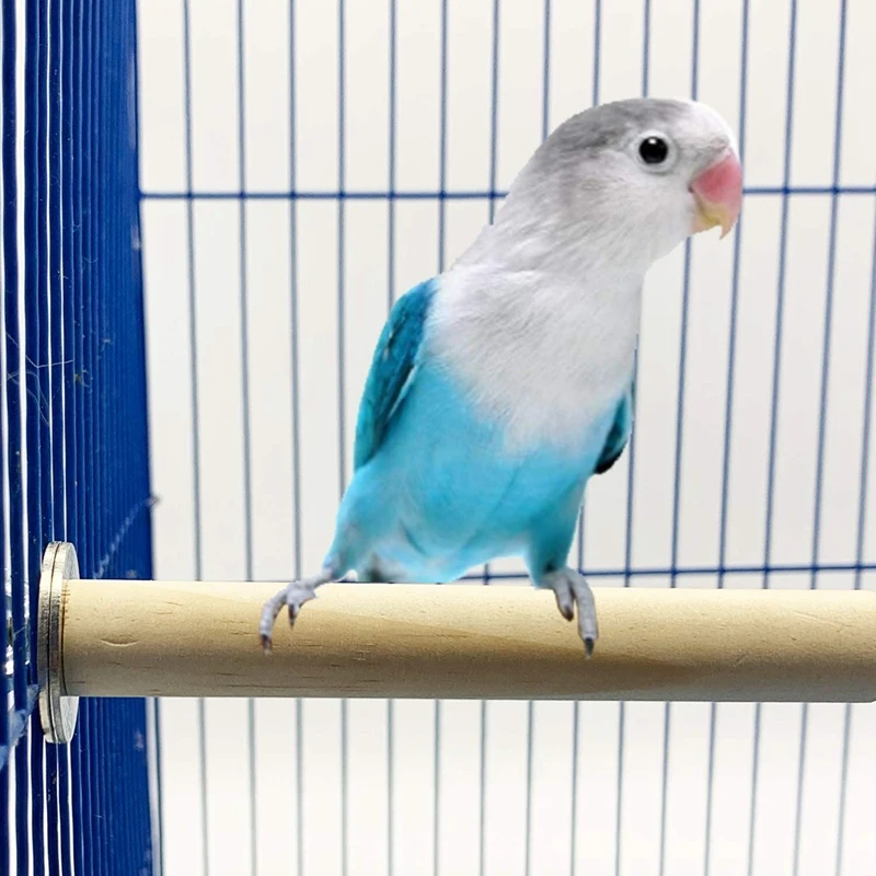 15 упаковок деревянные игрушки для жевания в виде попугаев | Дом и сад