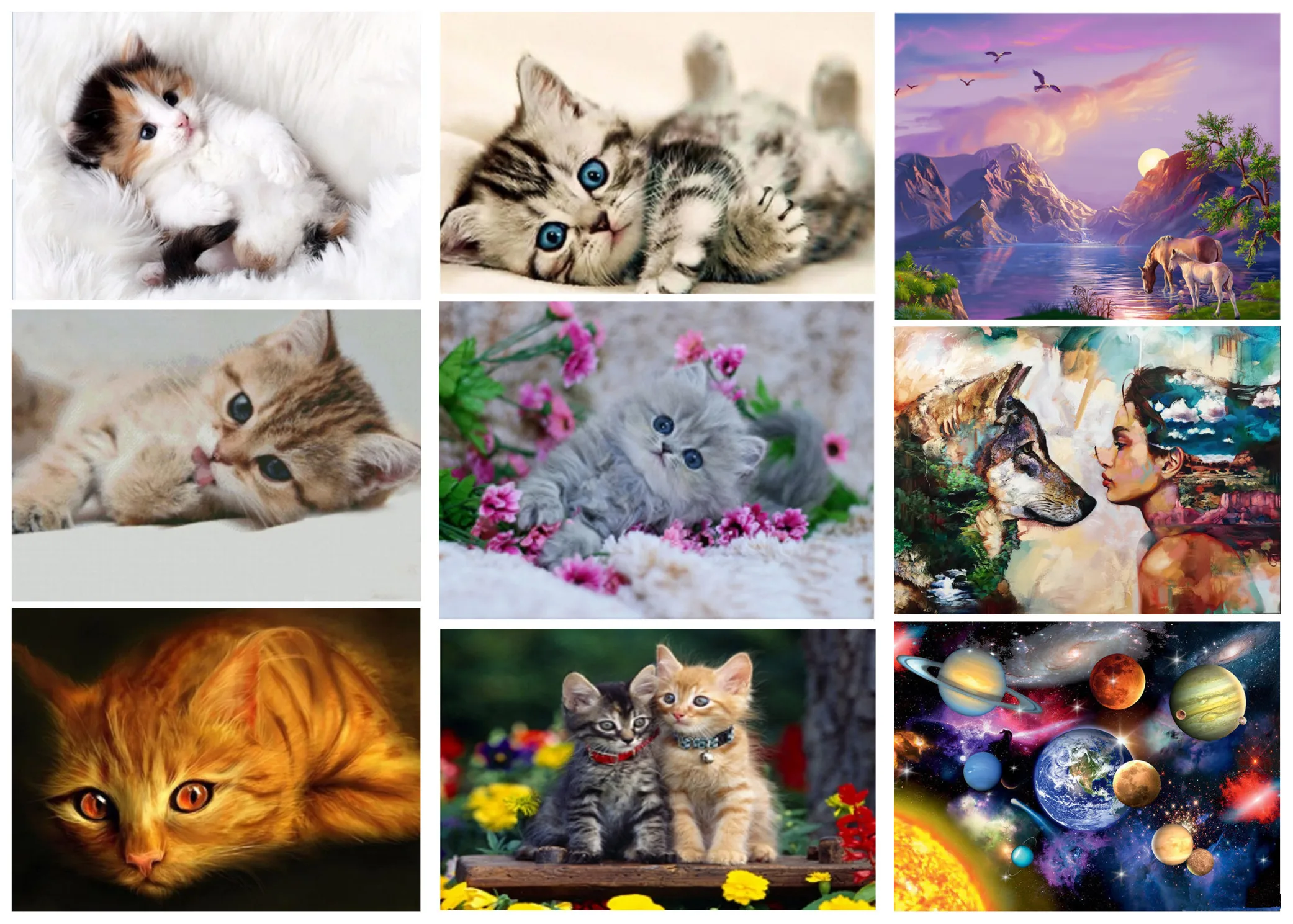 DIY 5D алмазная живопись пейзаж кошки ручной работы алмаз 2019 наборы для вышивки