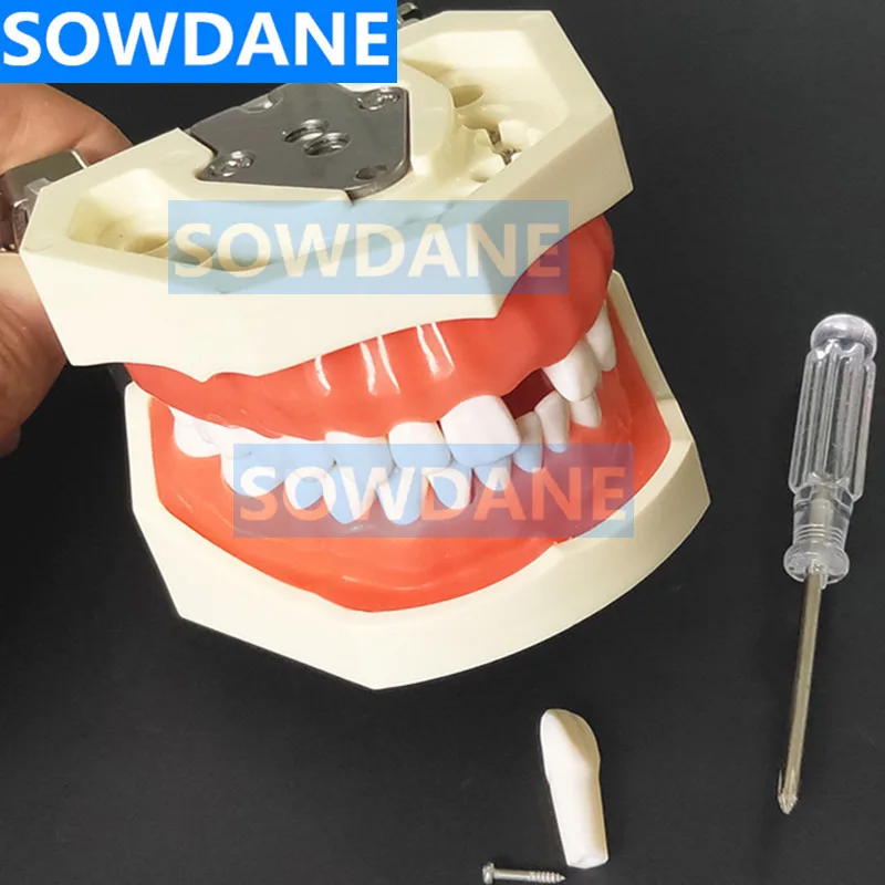 Высокое качество модель стоматологического универсальная пластина Тип съемные