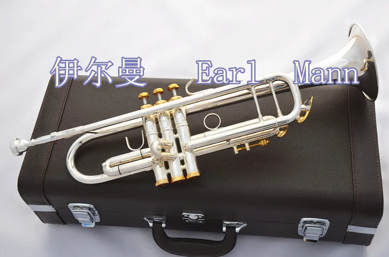 

Ilman Musical Instrument Imported Design Monnell Piston Silver Body Jinjian Professional Advanced Small Size