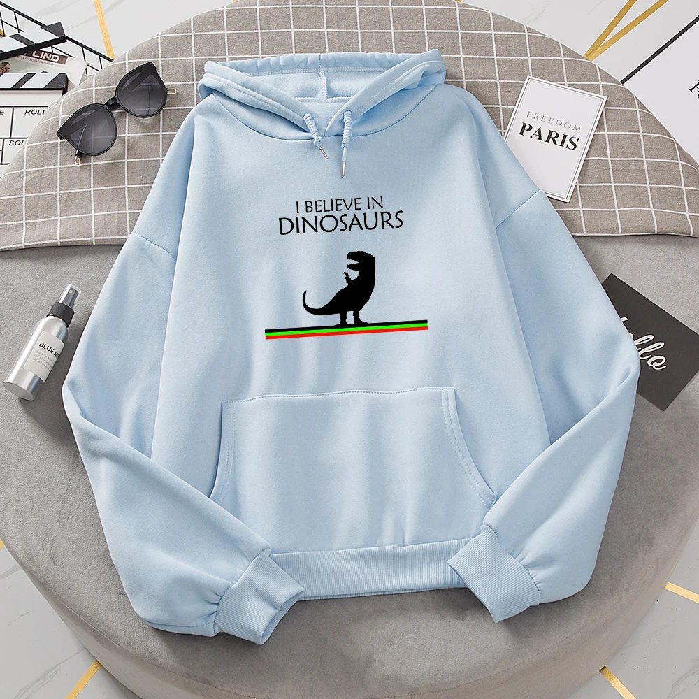 Dinosaur Sweatshirt Letter Print Hoodie Oversized Harajuku Sweetshirt for Girls Pullover Cool Hoodies for Women Winter Tracksuit