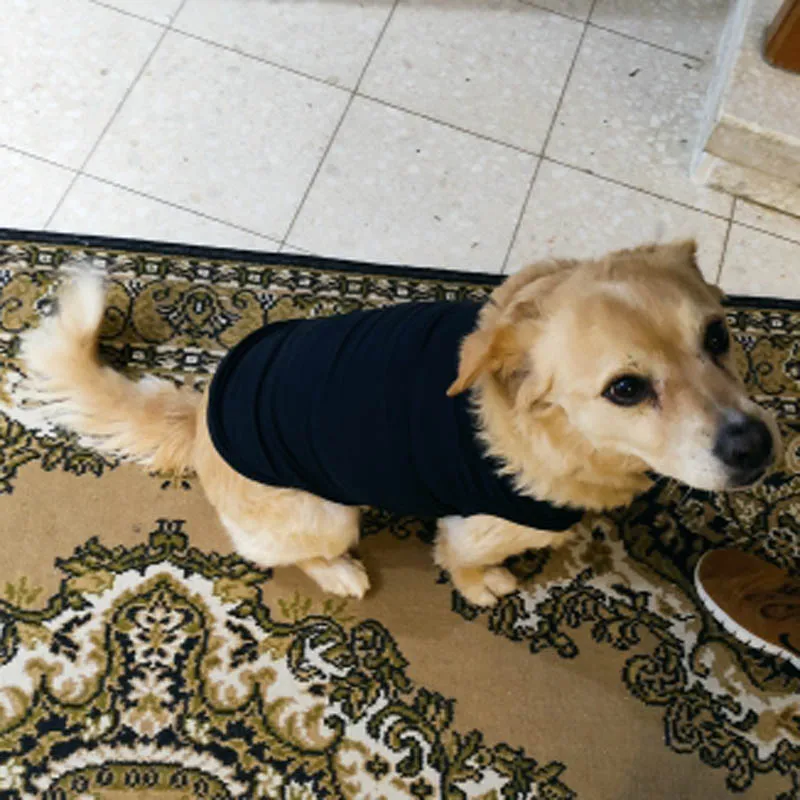 Женская рубашка для собак мягкая из чистого хлопка майка футболка с рисунком