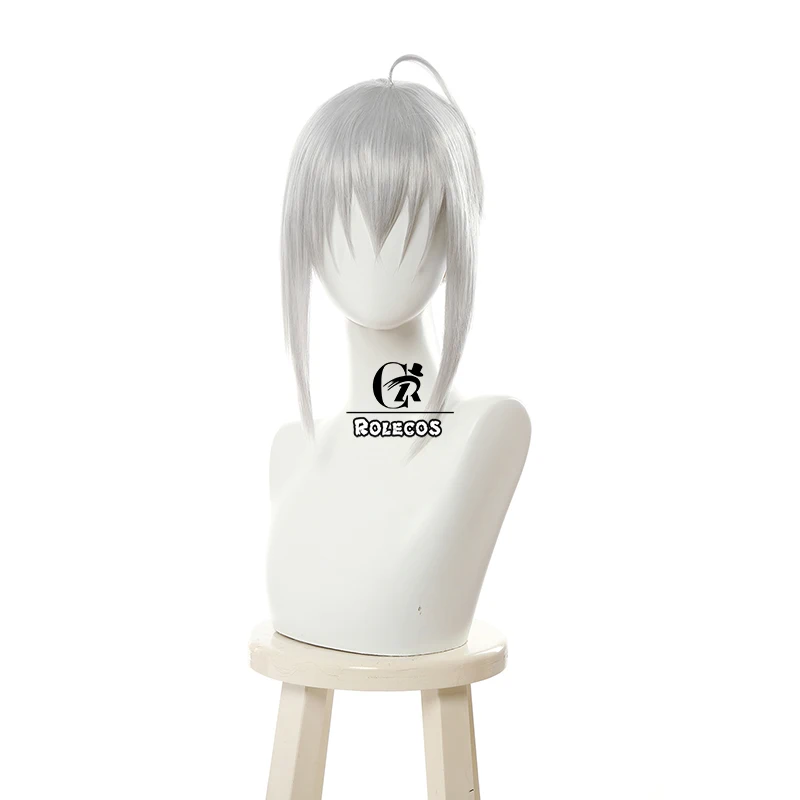 ROLECOS Fate Серый косплей волос аниме Lord El Melloi II чехол с файлами синтетические волосы