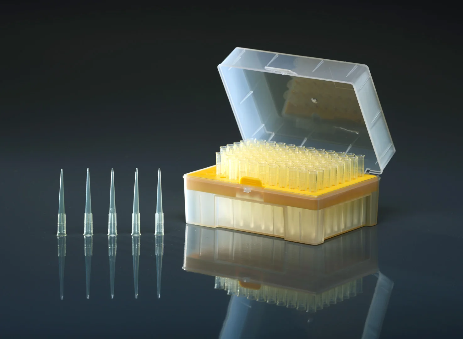 

Disposable Plastic Pipette Tips 200ul Filtered Rack Pack Sterile Transparent rack filter Tips