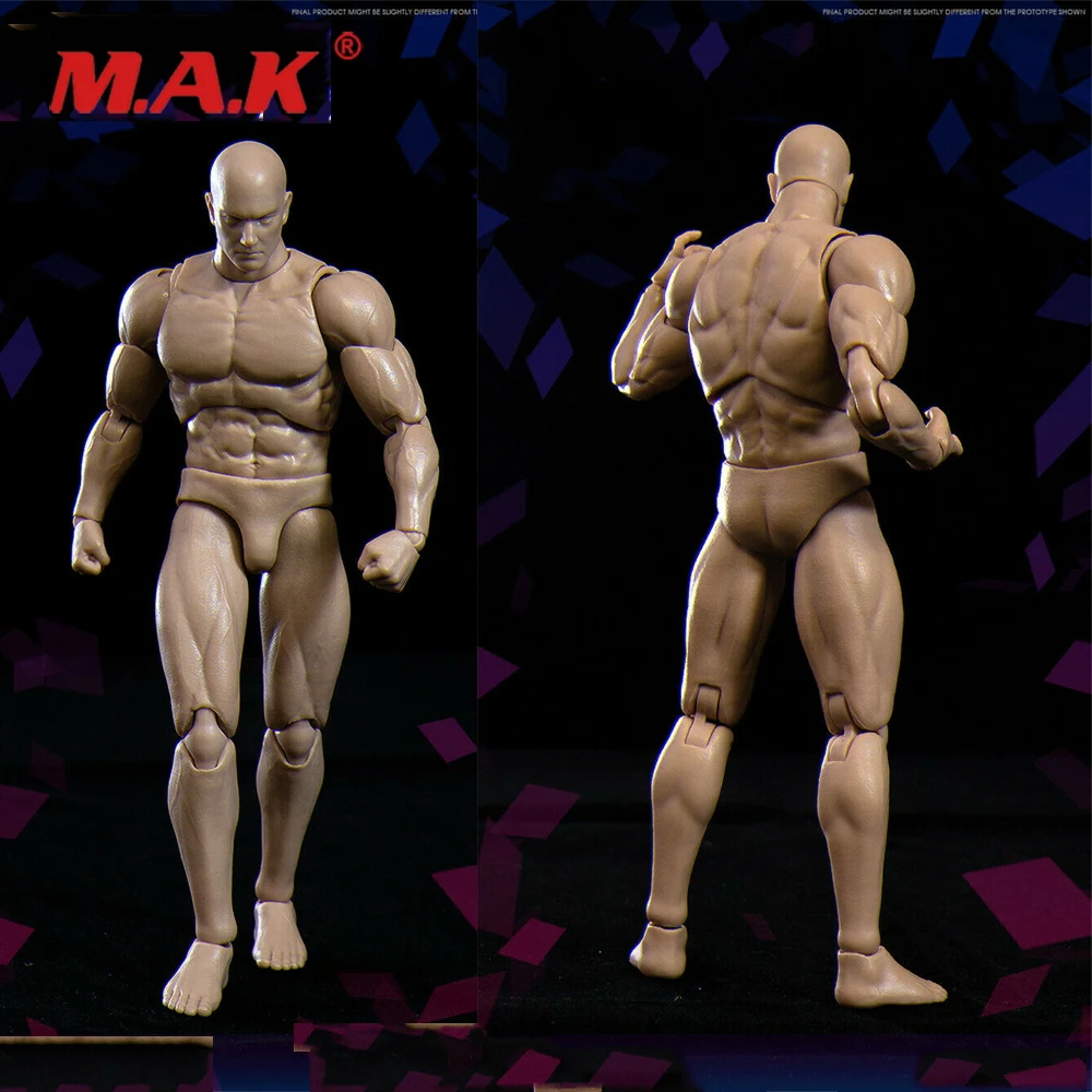 

In Stock VSD003 1:12 Strong Muscular Body 6" Inch Male Action Figure Body Item VTOYS x BMS