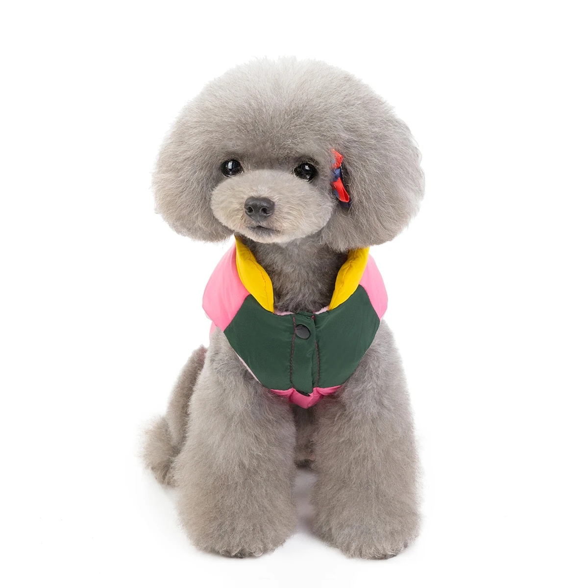 Waterproof Dog Clothes for Large Dogs Winter Warm Big Dog Jackets Padded Polyester Pet Coat Safety Reflective Dog Clothing