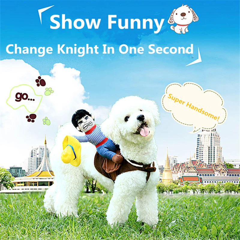 Ковбойский рыцарь одежда для собак шапка домашних животных французского