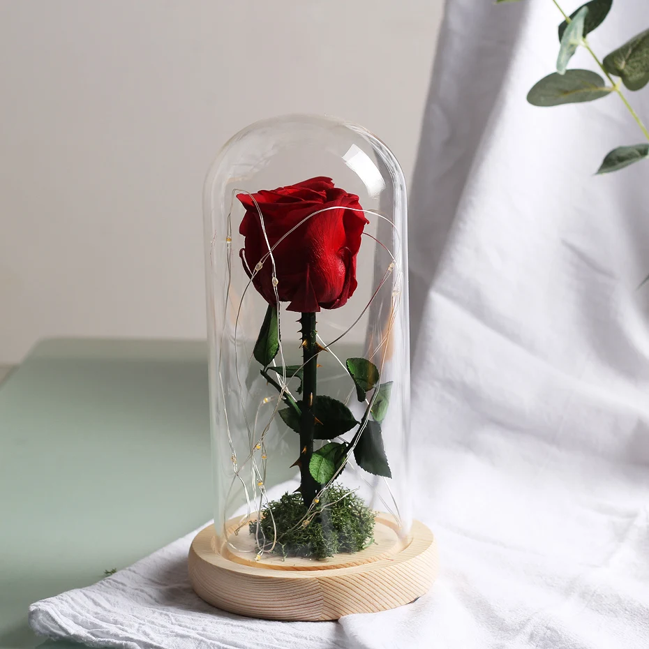 

Valentines Day Gift Beauty and The Beast LED String Light Red Rose In A Glass Dome on A Wooden Base Valentine's Gifts Birthday