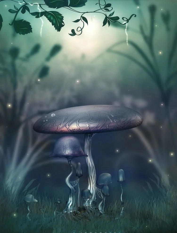 

SHENGYONGBAO Vinyl Custom Photography Backdrops Prop Children Fairy Tale Scenery theme Photo Studio Background TH19511-1015