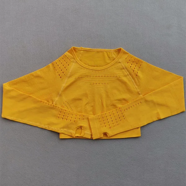 Yellow top 2 шт./набор, бесшовный Женский спортивный костюм с эффектом омбре, одежда для тренажерного зала, тренировочная одежда с длинным рукавом, укороченный топ для фитнеса и резинки на попе, леггинсы, комплект для йоги - Цвет: Yellow top