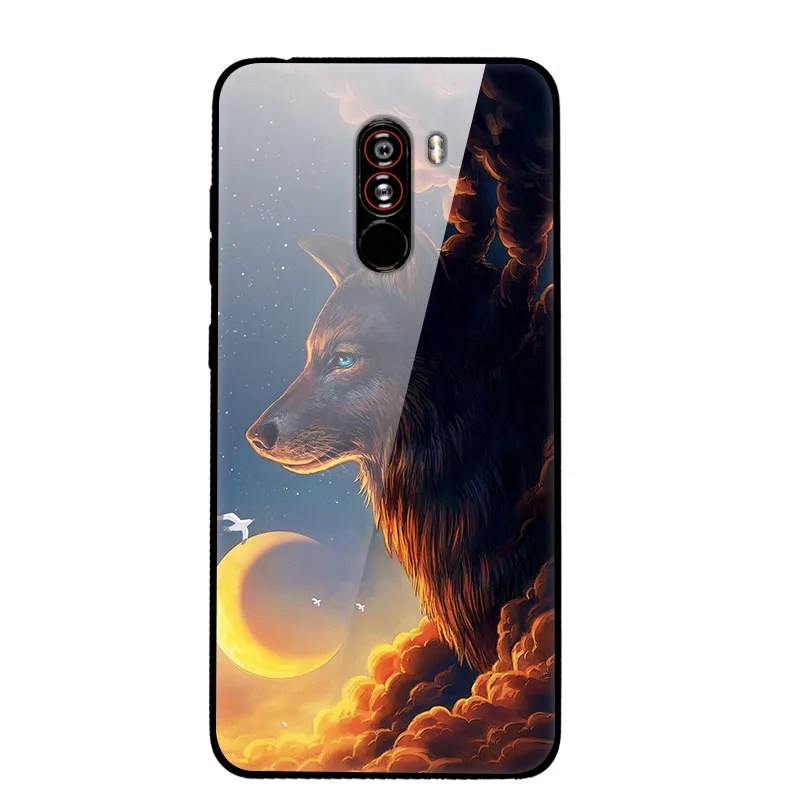 6 Чехол для Xiaomi Pocophone F1, закаленное жесткое заднее стекло, чехол для Xiaomi Poco F1, силиконовый мягкий бампер, чехол с принтом - Цвет: 6