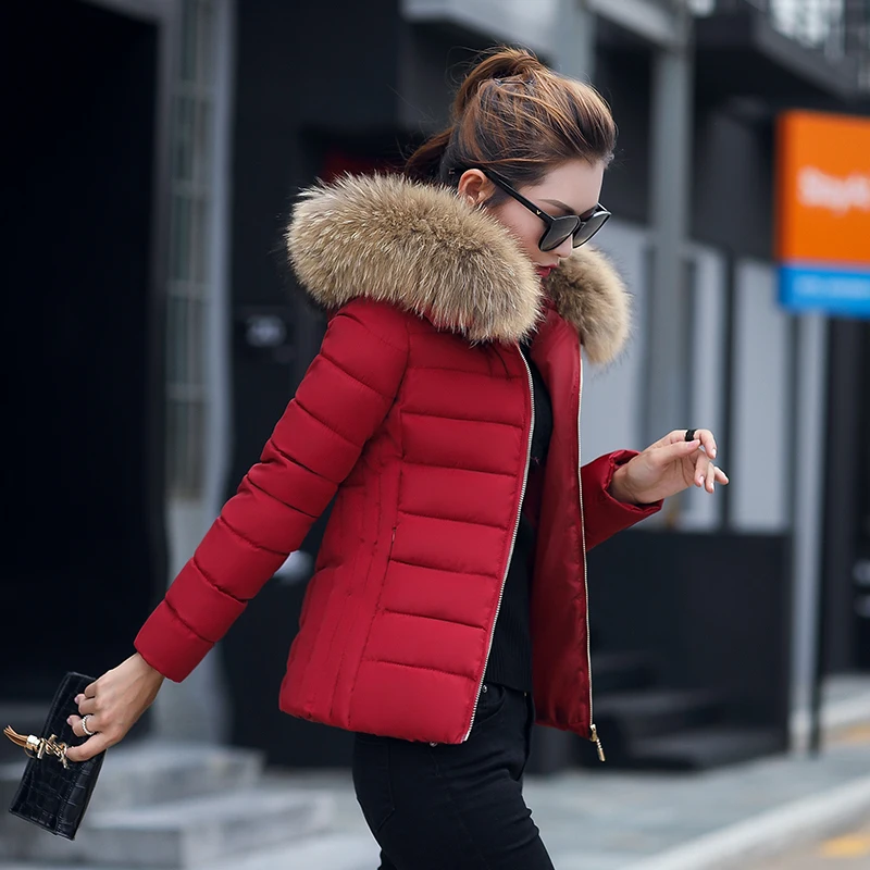 large wool collar cotton-padded female short slim padded large size down cotton-padded Korean version of small jacket coat tide