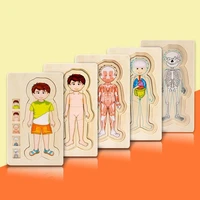 educational 5 layers wooden puzzle human body structure animal life cycle cognitive toy kindergarten baby motessori teaching aid