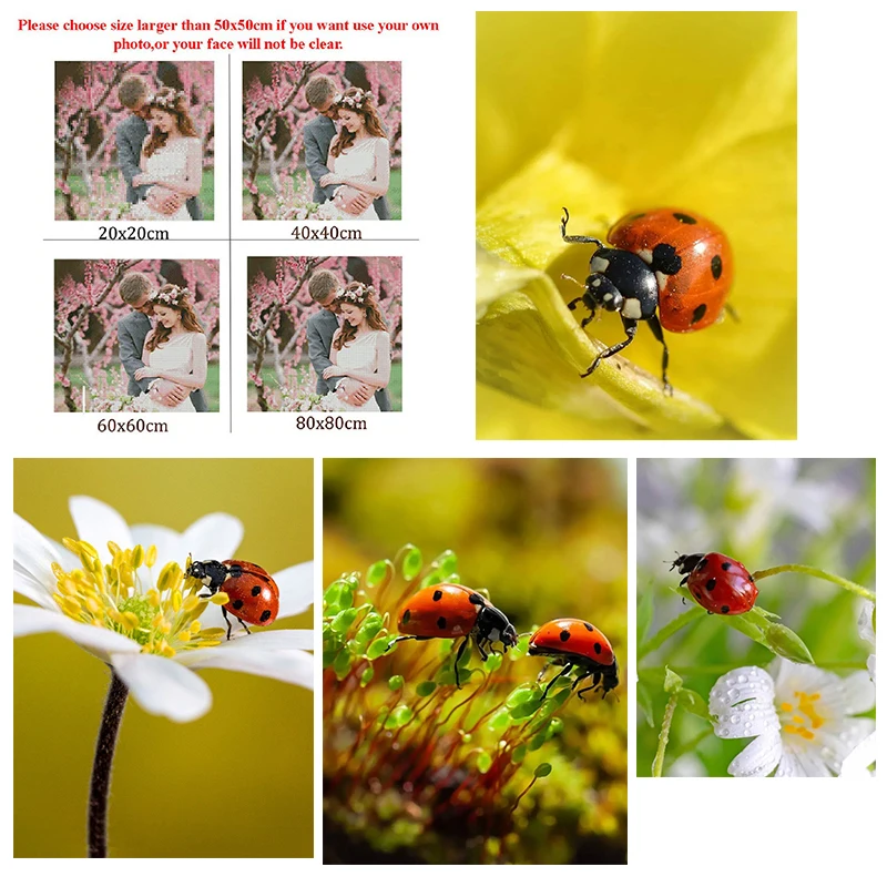 

5D Diy Diamond Painting Animal Ladybug Flower Picking Nectar Painting Living Room Bedroom Wall Cross Stitc Mosaic Home Decora