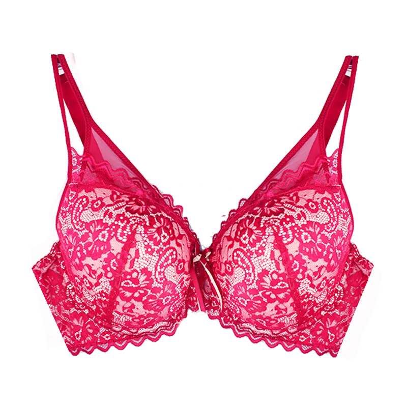 Mierside 163130 Women Lace Sexy Push Up Bra Female Brassiere Plus Size Women Bra With Wire Lingere DD/DDD/E/F